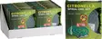 Citronella-hyttyskierukkasetti 8 kpl ja pidike 11 cm - Hyttysansat ja -karkottimet - 8721037889506 - 1
