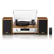 HiFi Stereojärjestelmä, jossa on levysoitin, DAB+/FM-radio ja Bluetooth®-puu. - Levysoittimet ja neulat - 8711902080046 - 10