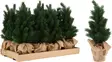 MÃ¤nty juuttiruukussa 45 cm - Kukka-amppelit ja maljakot - 8721037198516 - 1