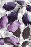 Monivärinen Antibakteerinen Matto 180x280 cm - 100% Polyesteri, Konepestävä, Liukumaton, 3D Digitaalipainatus - Suuret ja keskikokoiset matot - 8682870636446 - 3