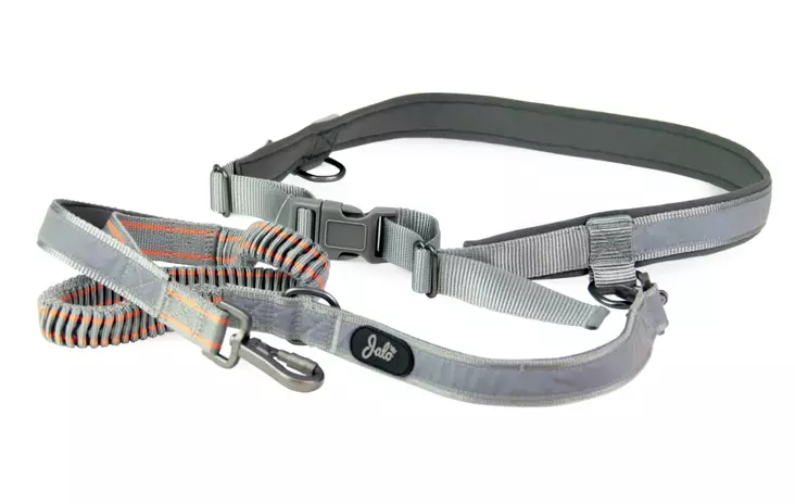 Jalo Luminous juoksuvyö - Koiran pannat, hihnat ja valjaat - 6417558503886 - 1