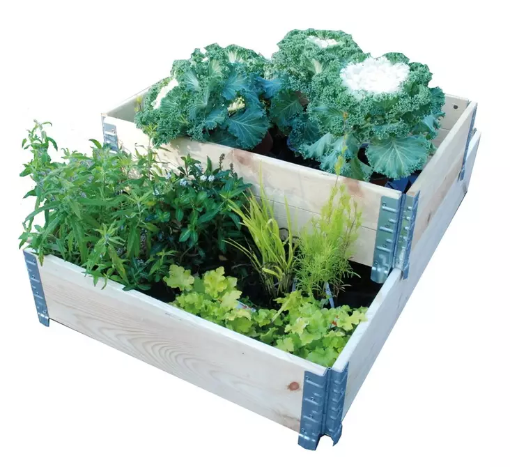 Lavakaulus 60 x 80 x 20 cm - Muut puutarhatarvikkeet - 6430040628126 - 1