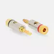 Banaaniliitin | Suora | Uros | Kullattu | Ruuvi | Kaapelin läpitulomitta: 3.0 mm | Metalli | Kulta | 2 kpl | Laatikko kannella ja ikkunalla - Audioliittimet ja plugit - 5412810333257 - 45