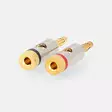 Banaaniliitin | Suora | Uros | Kullattu | Ruuvi | Kaapelin läpitulomitta: 3.0 mm | Metalli | Kulta | 2 kpl | Laatikko kannella ja ikkunalla - Audioliittimet ja plugit - 5412810333257 - 1