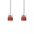 CAT6 Verkkokaapeli | RJ45 uros | RJ45 uros | S/FTP | 0.25 m | Sisäkäyttöinen | Pyöreä | LSZH | Valkoinen | Laatikko - Tietokone ja verkko - 5412810423897 - 10