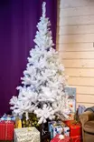 Joulukuusi 210 cm valkoinen - Joulukuuset - 6438168076157 - 1