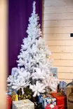 Joulukuusi 210 cm valkoinen - Joulukuuset - 6438168076157 - 7