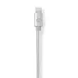 Lightning Kaapeli | USB 2.0 | Apple Lightning 8-Pin | USB-C Uros | 480 Mbps | Kullattu | 1.00 m | Pyöreä | Nailon / Punottu | Alumiini / Hopea | Laatikko kannella ja ikkunalla - Lightning-kaapelit - 5412810313037 - 45