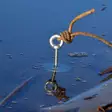 Supermagneetti fiiliskuva - Metallinpaljastimet ja supermagneetit - 6438014227337 - 4