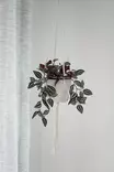 Naruamppeli Natural 105 cm - Kukka-amppelit ja maljakot - 6410416325507 - 3