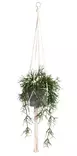 Naruamppeli Natural 105 cm - Kukka-amppelit ja maljakot - 6410416325507 - 2