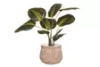 Suojaruukku 15cm 4Living - Ruukut - 6410416332697 - 2