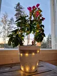 Valovaijeri 20 led IP44 - Koristevalot - 8719202586237 - 2
