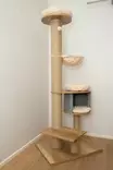 Viksu kissan kiipeilypuu beige, 3 petiä ja pesä 178cm - Kiipeilypuut ja raapimatolpat - 6417783170907 - 6