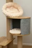Viksu kissan kiipeilypuu beige, 3 petiä ja pesä 178cm - Kiipeilypuut ja raapimatolpat - 6417783170907 - 4