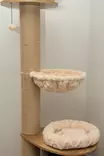 Viksu kissan kiipeilypuu beige, 3 petiä ja pesä 178cm - Kiipeilypuut ja raapimatolpat - 6417783170907 - 2