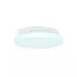 SmartLife Kattovalo | Lämpimästä kylmään valkoiseen / RGB | Pyöreä | Halkaisija: 260 mm | 1820 lm | 2700 - 6500 K | IP44 | Android / IOS - Valaisimet - 5412810454297 - 12