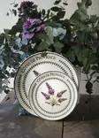Keraaminen Jälkiruokalautasetti (6 kpl) - Lilac - 100% Keraaminen - Astianpesukoneen Kestävä - 19x19x2 cm - Lautaset - 8684283616947 - 4