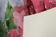 Monivärinen 3D Digitaalipainettu Polyesterimatto 120x180 cm - Antibakteerinen, Konepestävä, Liukumaton PVC-pohja - Suuret ja keskikokoiset matot - 8681875857627 - 7