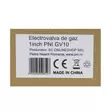 PNI GV10 1 tuuman (tol) kaasumagneettiventtiili, sisäkierre, 12 V pulssiohjaus - PNI tuotteet - 5949066508547 - 6