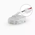 RJ45-liitin | RJ45 Pass Through | Monisäikeinen UTP CAT5 | Suora | Kullattu | 10 kpl | Polycarbonate | Läpikuultava | Laatikko - Tietokone ja verkko - 5412810424757 - 1