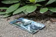 Rotanloukku 16 x 8,8 cm - Jyrsijöiden karkottimet ja loukut - 6416556924037 - 5