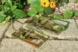 Rotanloukku 16 x 8,8 cm - Jyrsijöiden karkottimet ja loukut - 6416556924037 - 2