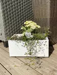 Spraymaali zero tummanharmaa ral7043 400 - Maalit ja lakat - 6412490033187 - 3