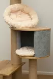 Viksu kissan kiipeilypuu beige, 3 petiä ja pesä 178cm - Kiipeilypuut ja raapimatolpat - 6417783170907 - 11