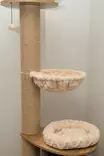 Viksu kissan kiipeilypuu beige, 3 petiä ja pesä 178cm - Kiipeilypuut ja raapimatolpat - 6417783170907 - 9