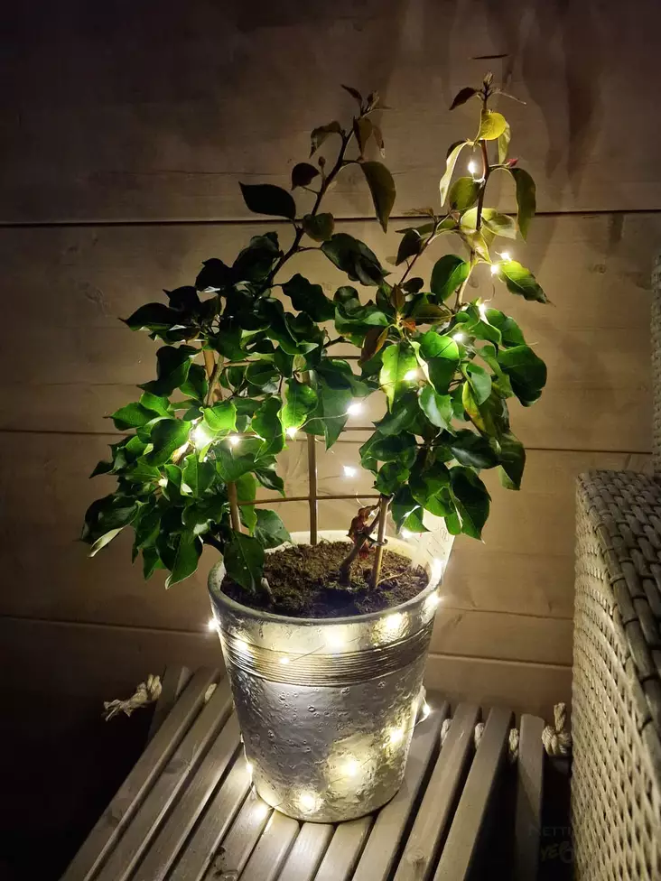 Valovaijeri 20 led IP44 - Koristevalot - 8719202586237 - 1