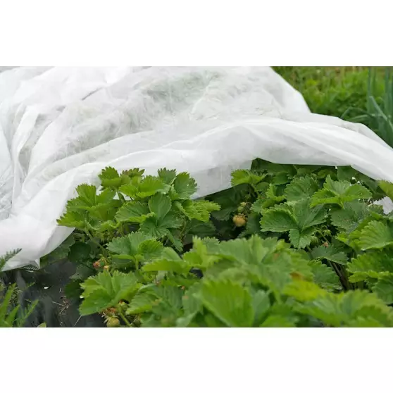 Kateharso 4x6 m - Suojakankaat ja verkot - 6438168117607 - 1