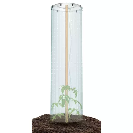 Tomaatin kasvatussuoja=20 - Istutus ja viljelytarvikkeet - 5905197383798 - 2