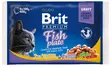 Brit Cat paloja kastikkeesa kala 4x100 g - Märkäruoka - 8595602506248 - 1