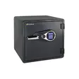 DunWore LCD230 paloturvakaappi - Huomio- ja turvatuotteet - 6438014251608 - 1