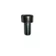 Kruiser: Ohjaustangon kiinnittimen pultti - Kruiser 2.0 - 6438431039148 - 1