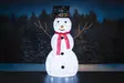 Lumiukko 80 LED 90 cm Finnlumor - Valokoristeet ja valohahmot - 6410416082288 - 6