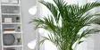 Merilev=C3=A4sumute 350ml=20 - Mullat ja ravinteet - 6414505176698 - 2