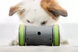 PetSafe koiran liikkuva aktivointilelu namipiilo sisäkäyttöön, harmaa - Koiran lelut - TN-227008 - 5