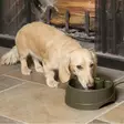 Petsafe Drinkwell Current Pet Fountain Juoma-automaatti, Oliivi - Ruoka- ja juoma-astiat - 2NDC-210668 - 2