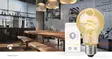 SmartLife LED Filamenttilamppu | Wi-Fi | E27 | 360 lm | 4.90 W | Lämpimästä kylmään valkoiseen | 1800 - 6500 K | Lasi | Android / IOS | polttimo | 1 kpl - Valonlähteet - 5412810335398 - 90