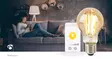SmartLife LED Filamenttilamppu | Wi-Fi | E27 | 806 lm | 7 W | Lämmin Valkoinen | 1800 - 3000 K | Lasi | Android / IOS | polttimo | 1 kpl - Valonlähteet - 5412810335428 - 90