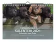 Taskullinen kalenteri koirat p=C3=A4=C3=A4kuva=20 - Kalenterit - 6429810296238 - 1