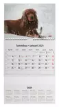 Taskullinen kalenteri koirat tuotekuva=20 - Kalenterit - 6429810296238 - 2