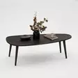 Anthracite sohvapöytä - Laadukas Mänty- ja Pyökkirakenne, 115x38x50 cm, Tyylikäs ja Kestävä Huonekalu - Sohvapöydät - 8683742112068 - 8