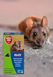 Kvitt Hiirenloukku 2kpl - Jyrsijöiden karkottimet ja loukut - 5701363003398 - 3