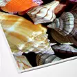 Kylpyhuonematto Setti 2 kpl - Monivärinen, 100% Polyesteri, 850 gr/m², Koko 50x60 cm ja 60x100 cm, Konepestävä - Kylpyhuonematot ja kosteantilan matot - 8683342420068 - 3