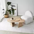Safiiritammi Sohvapöytä - Tyylikäs ja Kestävä Huonekalu - 105x35x65 cm - 100% Melamiinipinnoitettu Lastulevy - Sohvapöydät - 8684283515158 - 5