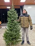 Serbiankuusi kotimainen 200-220 cm - Joulukuuset - 0283080071508 - 1