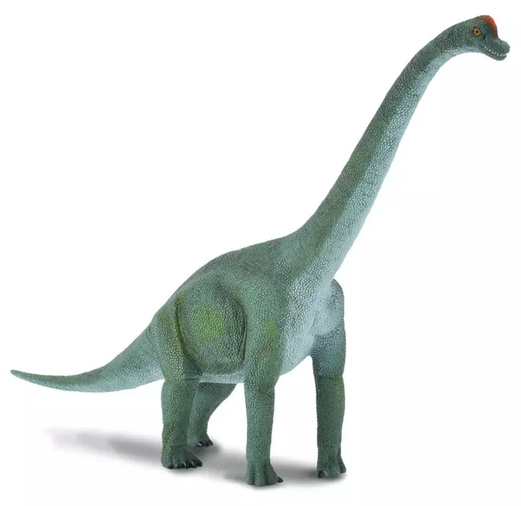 Brachiosaurus L CollectA - Eläinhahmot - 4892900881218 - 1